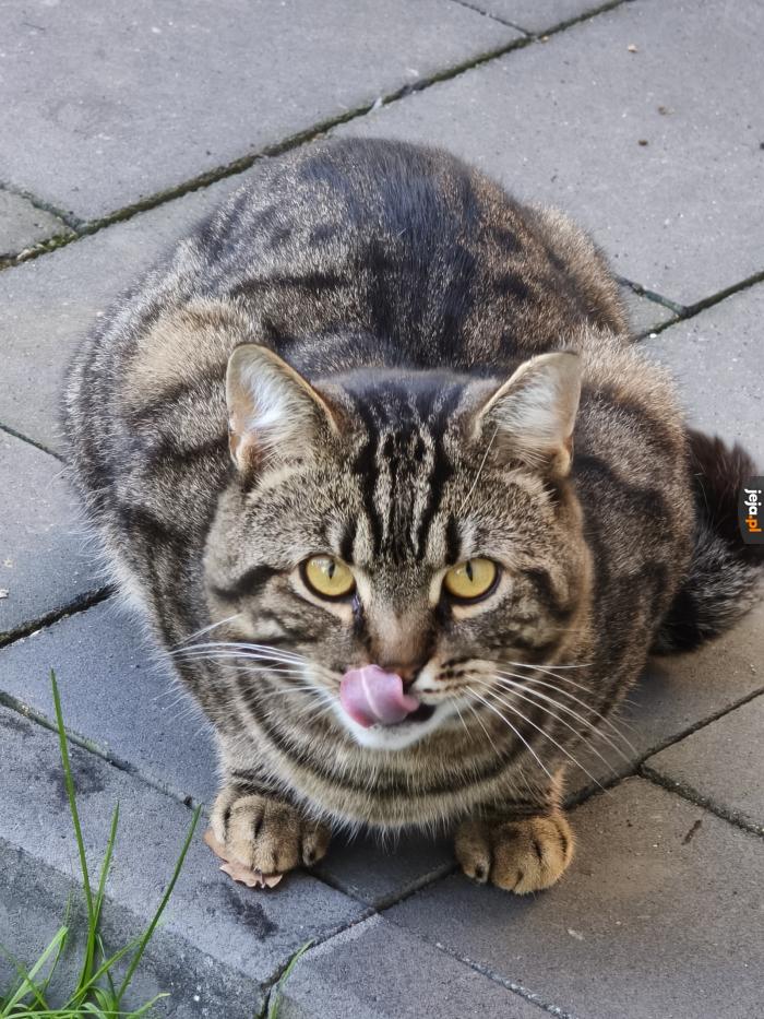 Kitku
