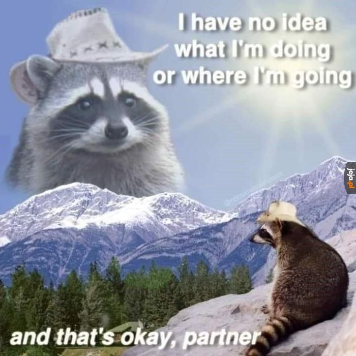 Howdy partner