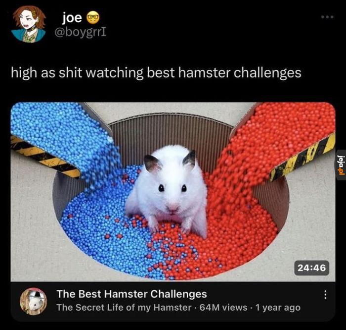 Homik w denaturacie