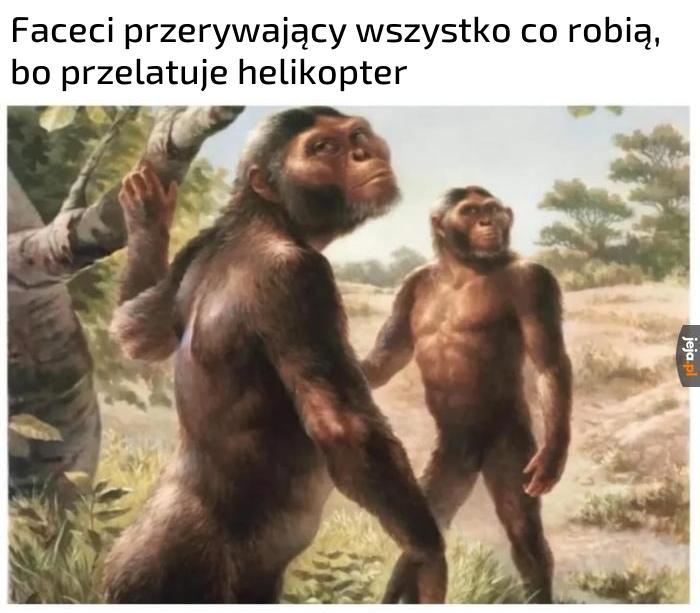 Należy powiadomić innych samców