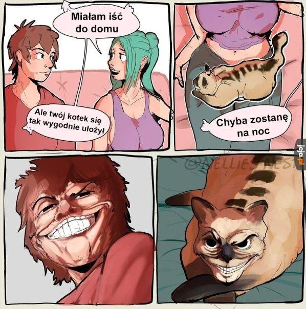 Dobry skrzydłowy kiciuś