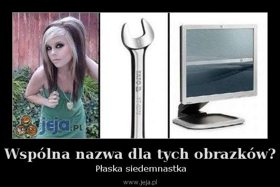 Wspólna nazwa dla tych obrazków?