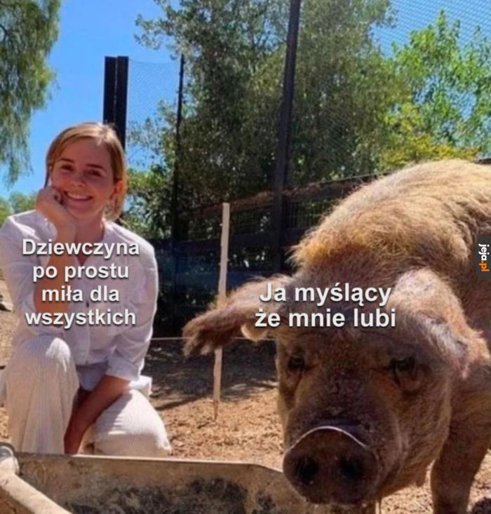 Nie tym razem wieprzku