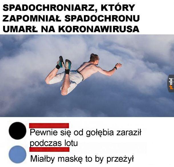 Biedny gołąb