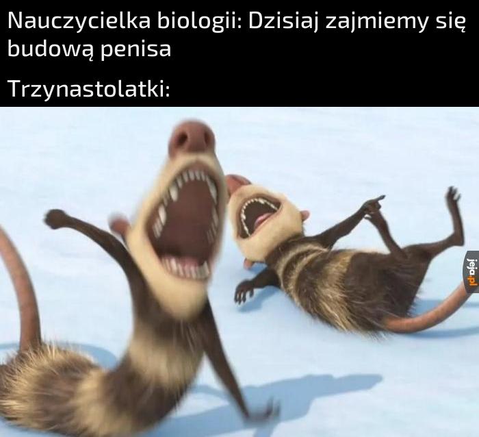 Beczunia