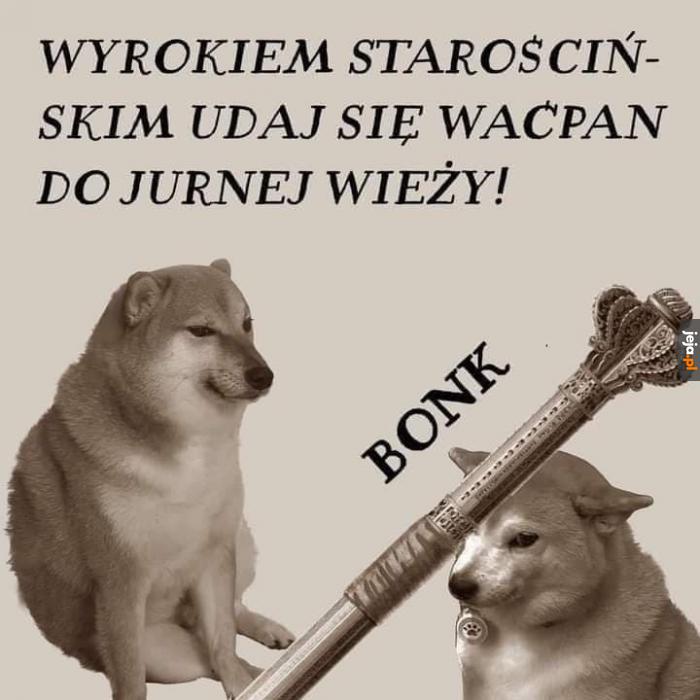 To tylko mem z przeszłości, przewijaj dalej