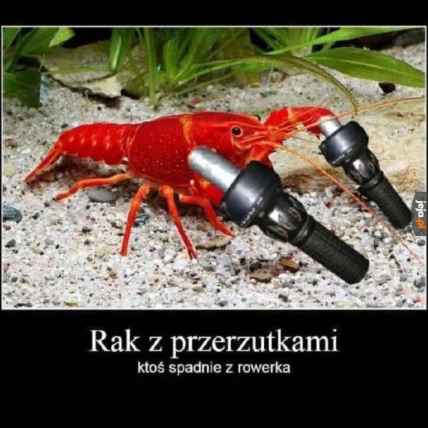 To już koniec