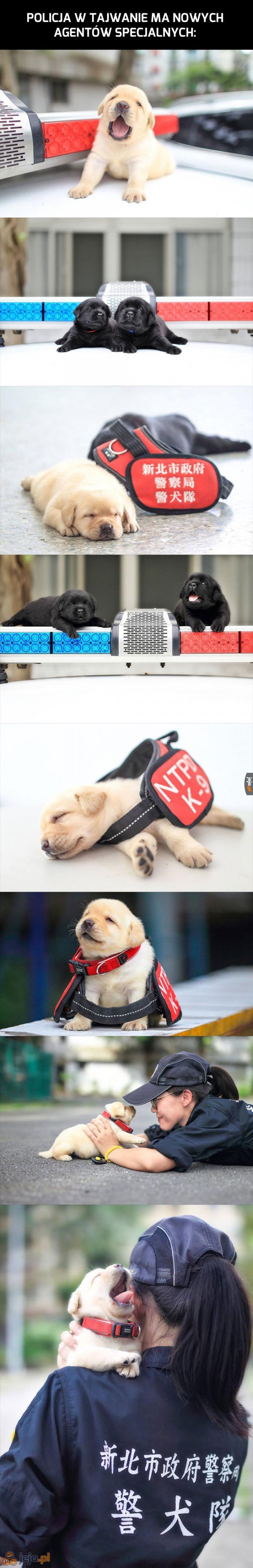 Byle ich tylko nie zjedli