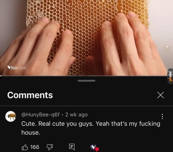 *agresywne bzyczenie*