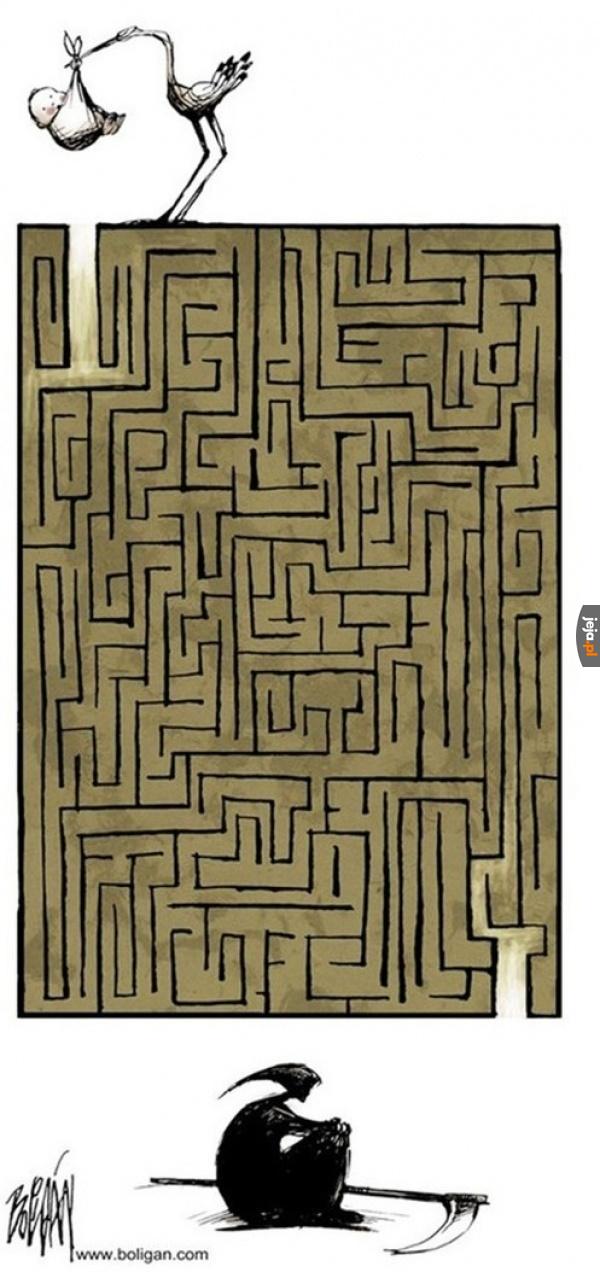 Labirynt 101+ Najlepszych Memów Jeja.pl