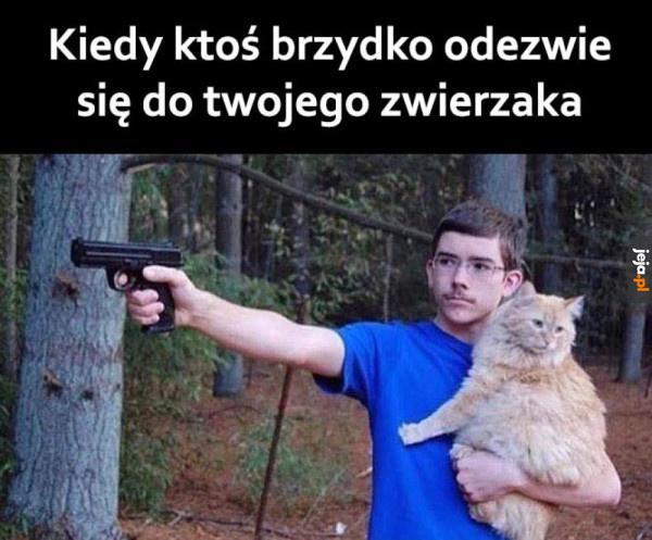 Zginiesz