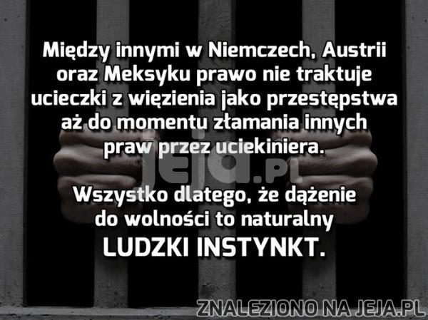 Jak można więzić człowieka?