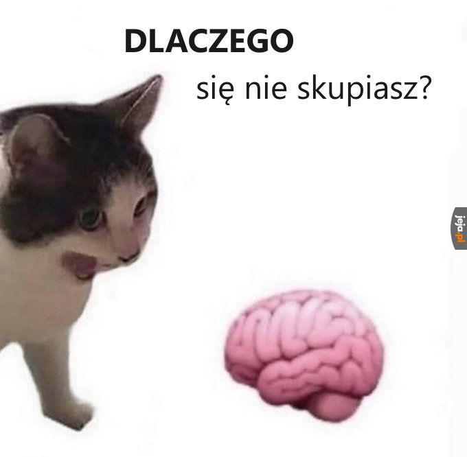 Dlaczego?