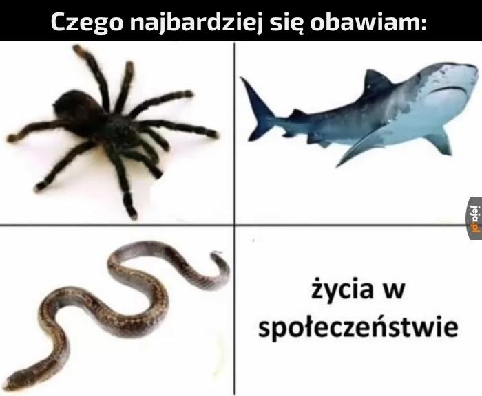 Największe bolączki człowieka