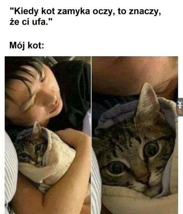 Zaufanie