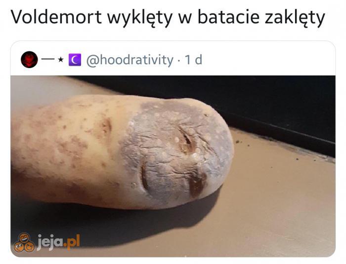 Voldemort 125+ Najlepszych Memów Jeja.pl