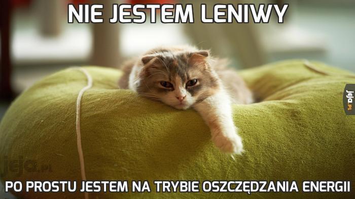 Nie jestem leniwy