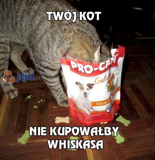 Twój kot nie kupowałby Whiskasa