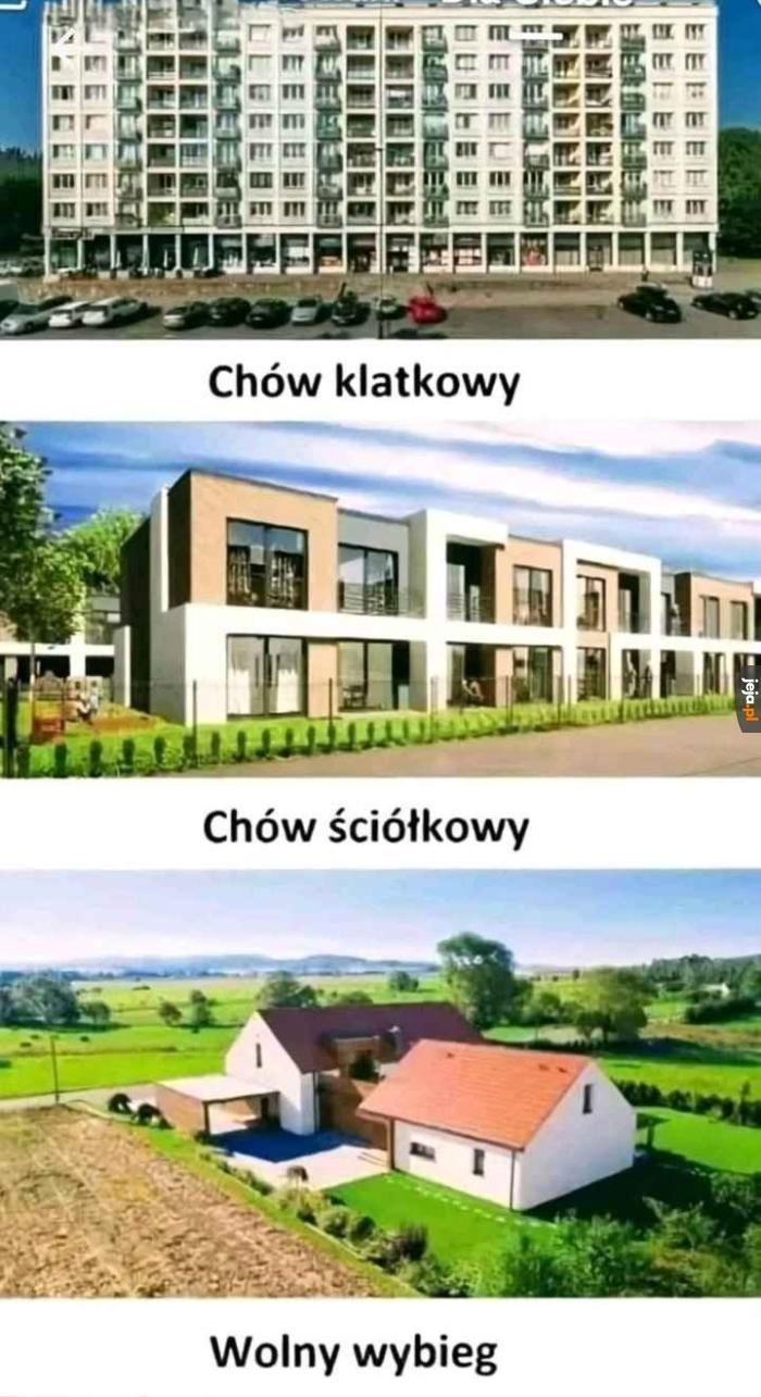 Ja jestem bezdomny 😎
