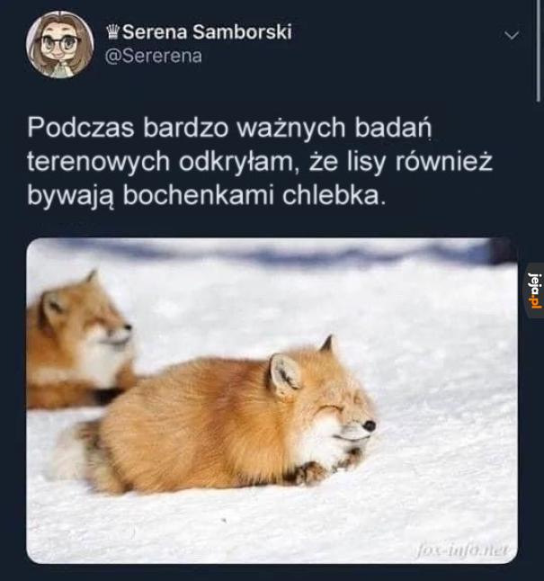 Jestem chlebem, uświadom to sobie