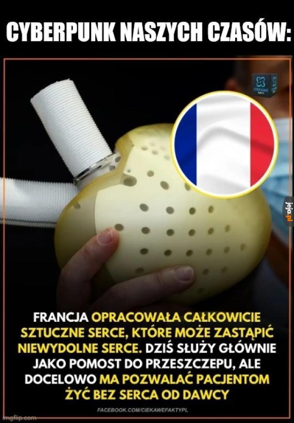 Korporacje