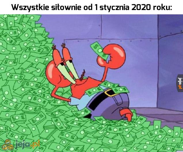 Czysty zysk