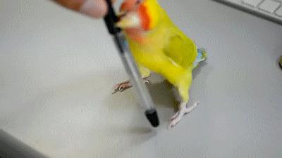 Fajny ten długopis!