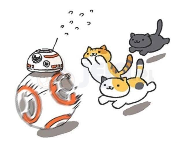 Gdy BB-8 spotkał koty