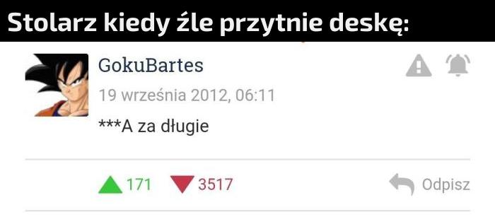 Dosłownie