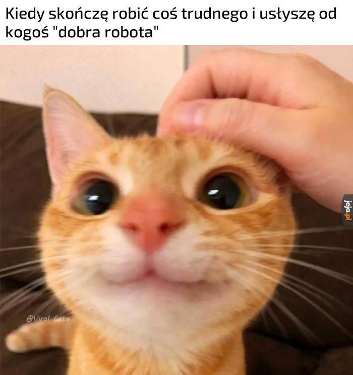 Smutne jak rzadko to się zdarza