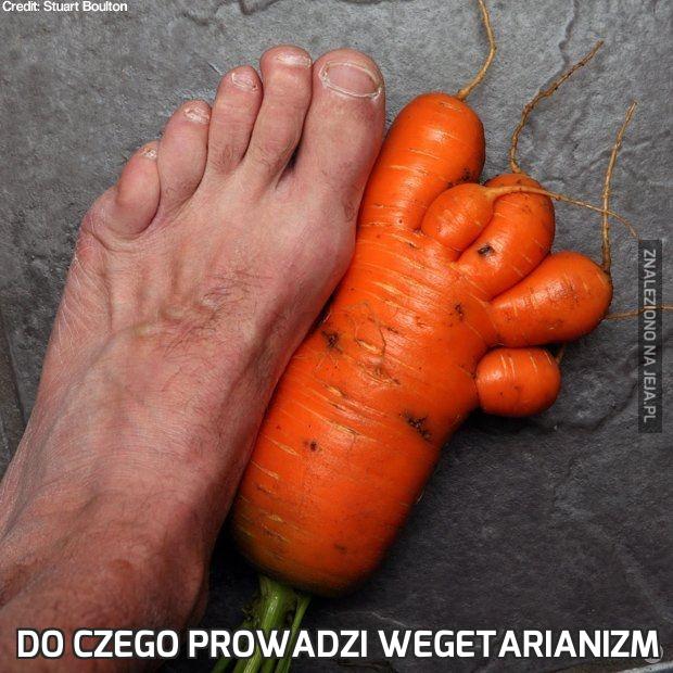 Do czego prowadzi wegetarianizm