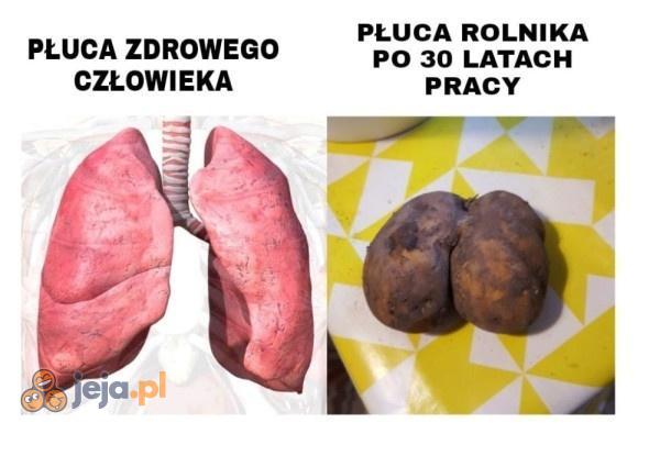 To jest dopiero ciężka praca