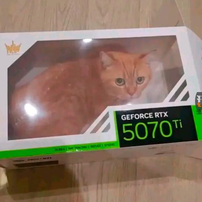 Pójdzie na tym Cyberpunk?
