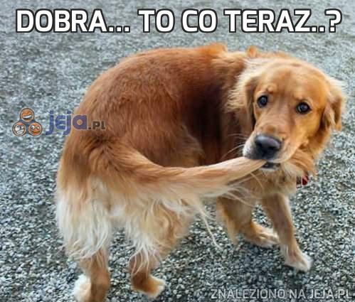 Dobra... To co teraz..?