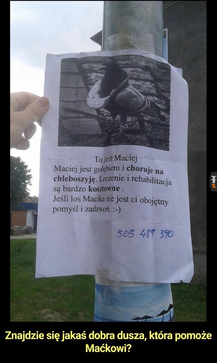 Pomożecie?