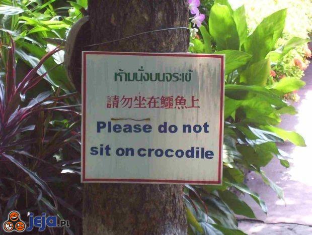Prosimy nie siadać na krokodylach