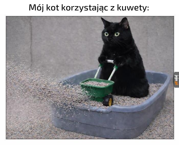 Ma rozmach