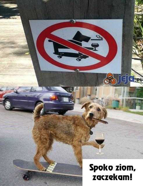 Zakaz wejścia dla zajebi*tych psów