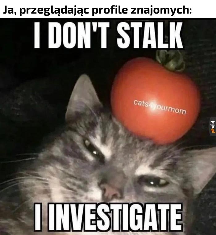 Zdobywam informacje