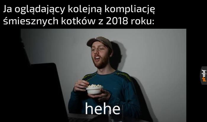 Kotek :D