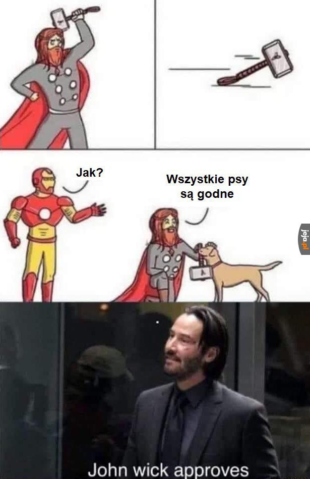 Kot już by raczej nie dał rady