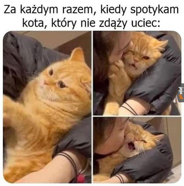 Buzi buzi