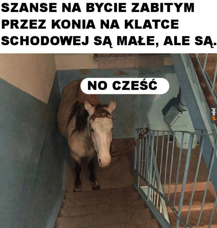 Tytuł