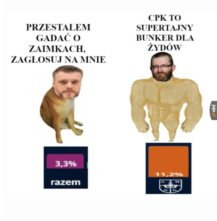 Tymczasem w sondażach