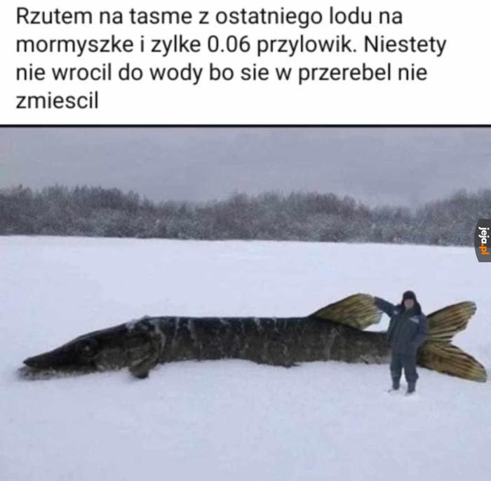 Fiszing posting 🎣
