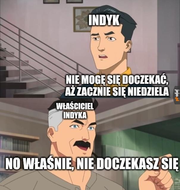 Marzenia indyka