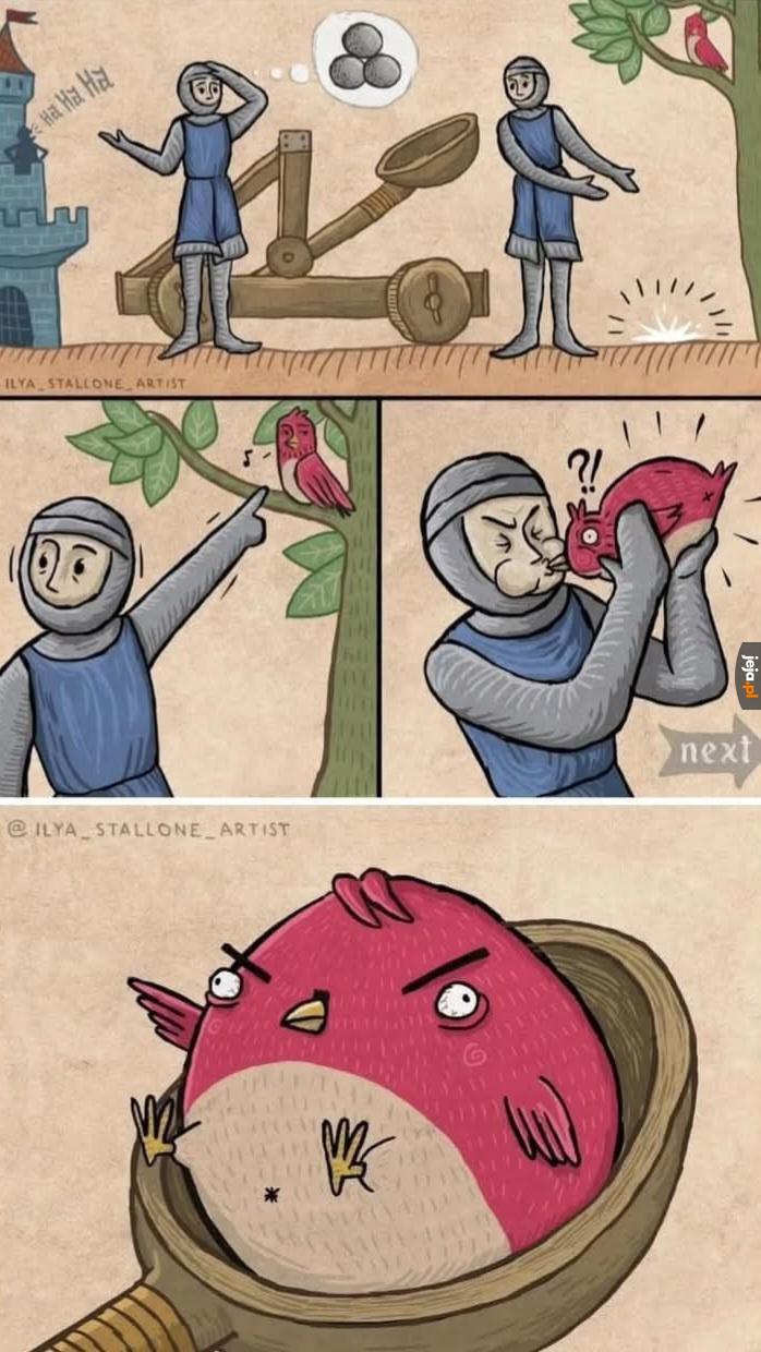 Geneza ptasiego rozsierdzenia