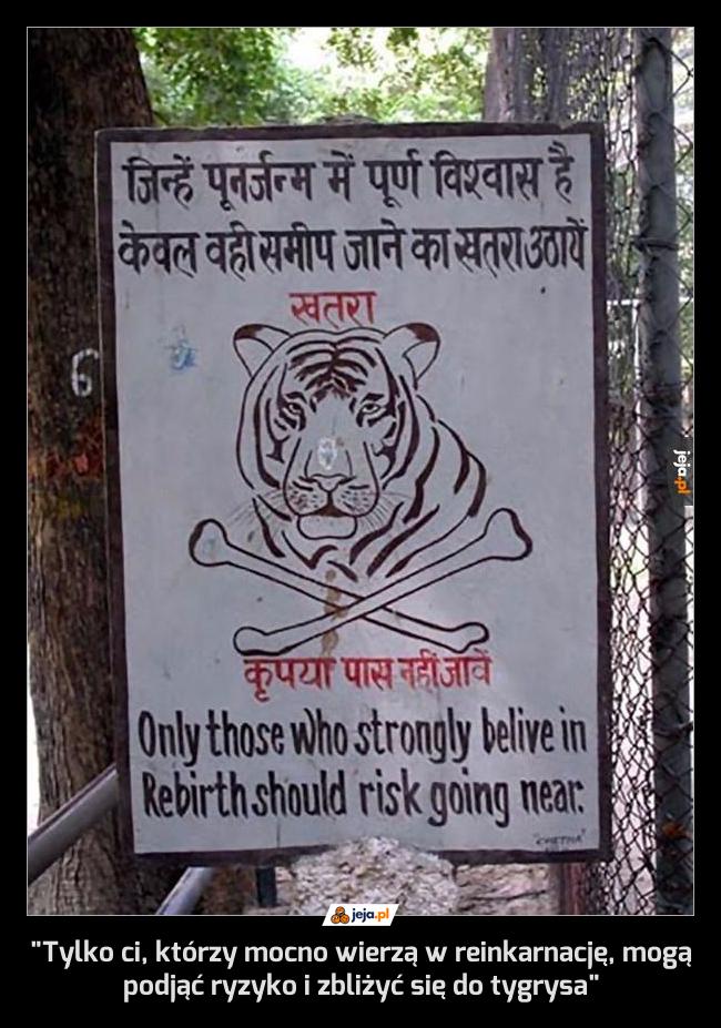 "Tylko ci, którzy mocno wierzą w reinkarnację, mogą podjąć ryzyko i zbliżyć się do tygrysa"