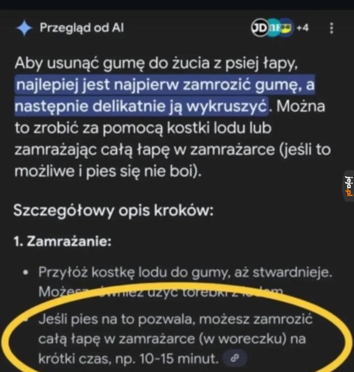 Współpracuj piesku