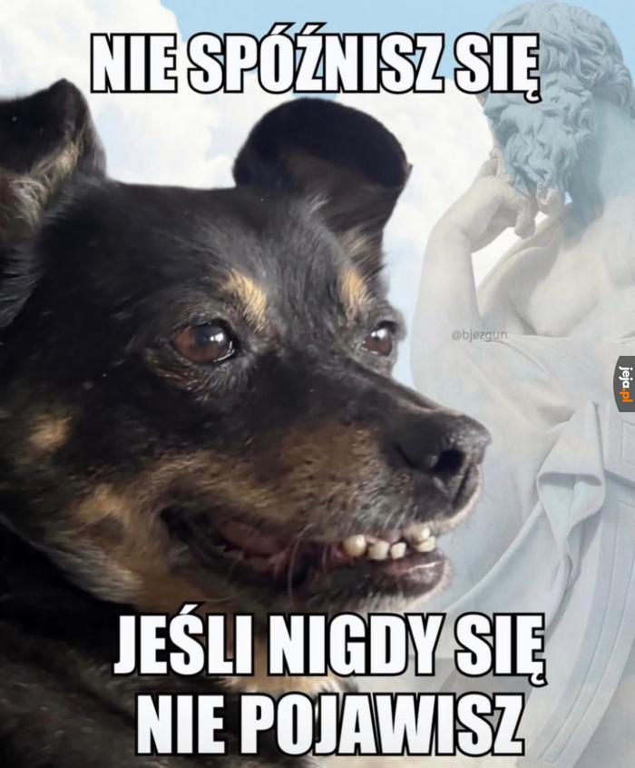 Porada
